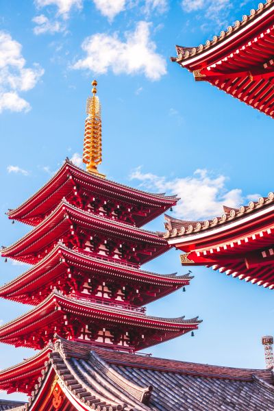 NHẬT BẢN HOA ANH ĐÀO: NARA - OSAKA – KYOTO – PHÚ SĨ  – TOKYO